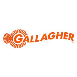 Gallagher Access Control Logo